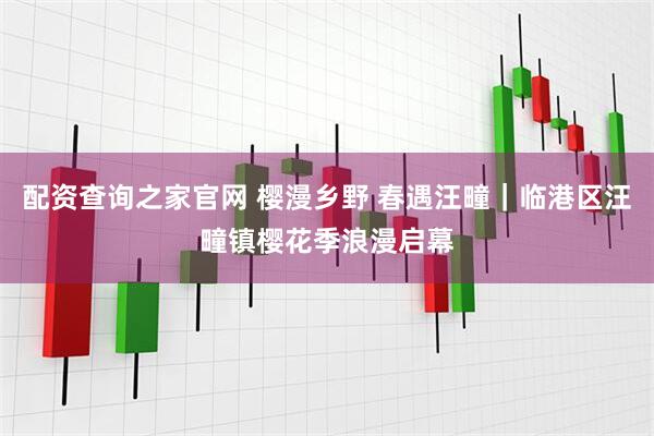 配资查询之家官网 樱漫乡野 春遇汪疃｜临港区汪疃镇樱花季浪漫启幕